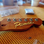 Custom Stainless Steel Guitar Nameplate